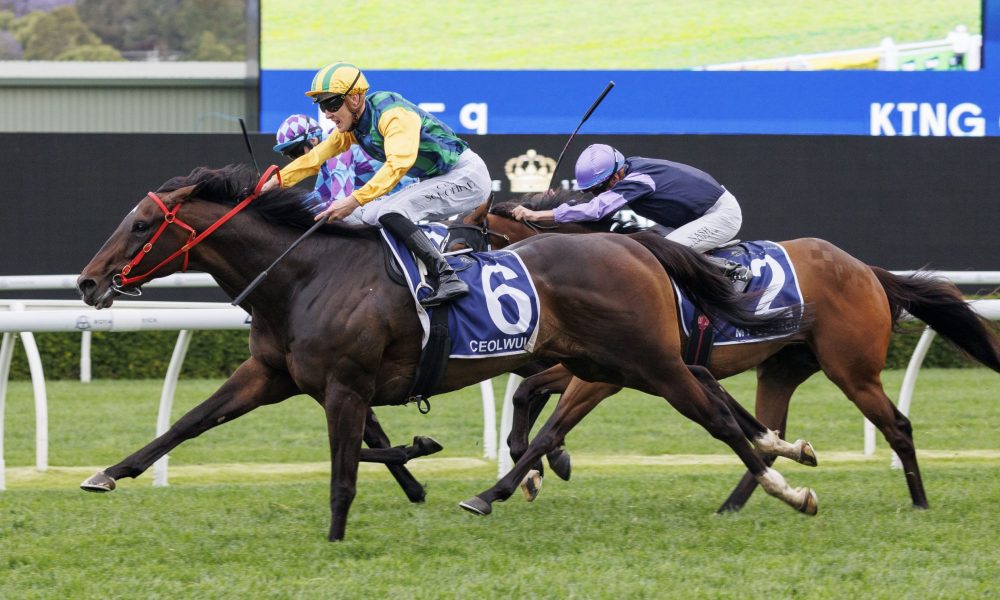 自身形象的 自身形象的